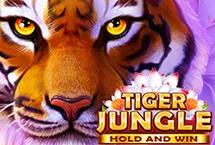 RTP quickspin campslot138